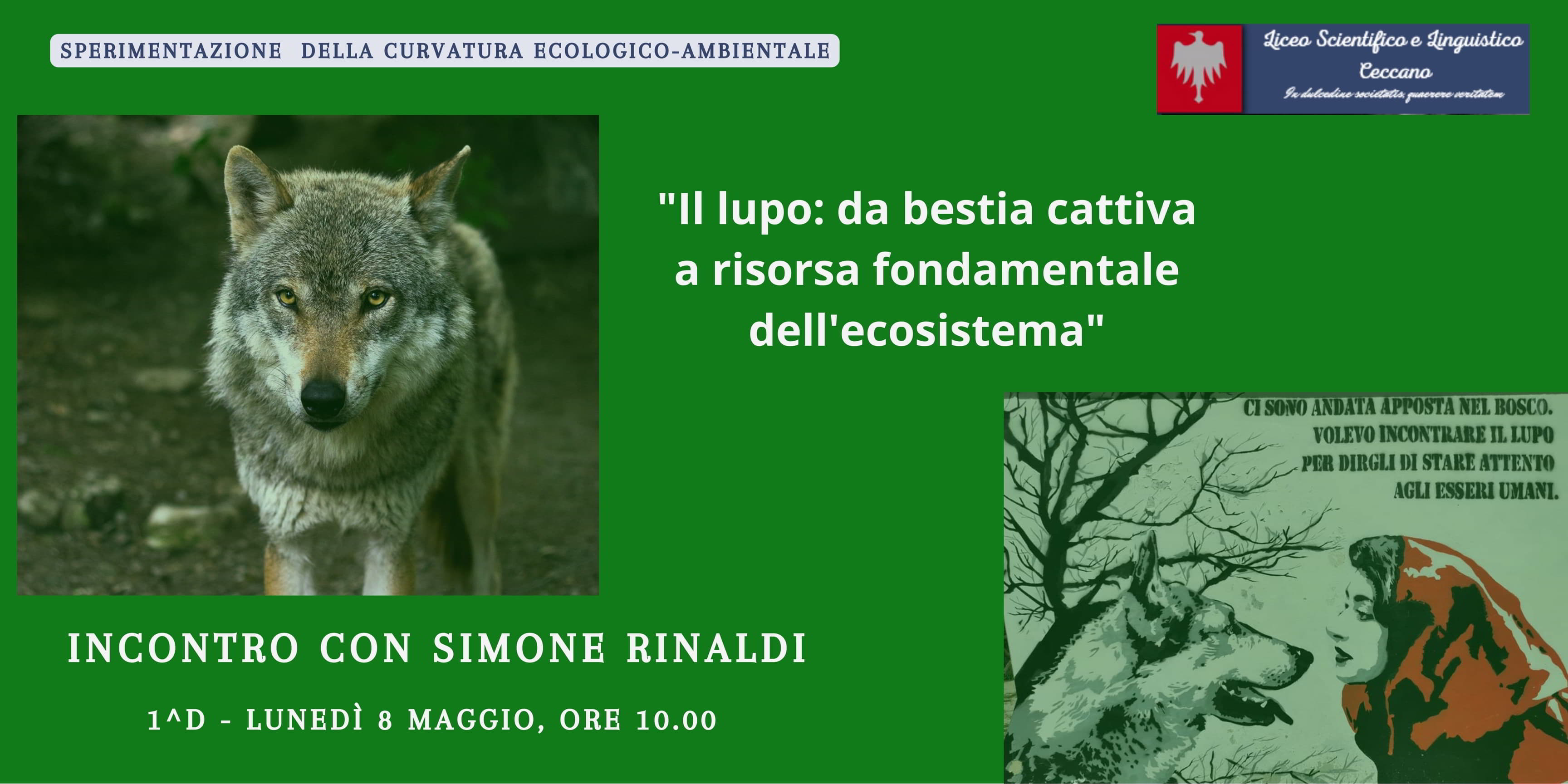Il lupo: da bestia cattiva a risorsa fondamentale per l'ecosistema - Liceo  Ceccano
